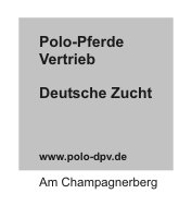 Polo-Pferde, Vertrieb, Deutsche Zucht, Gut Seeburg Am Champagnerberg