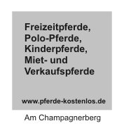 Freizeitpferde, Polo-Pferde, Kinderpferde, Miet- und Verkaufspferde, Gut Seeburg Am Champagnerberg